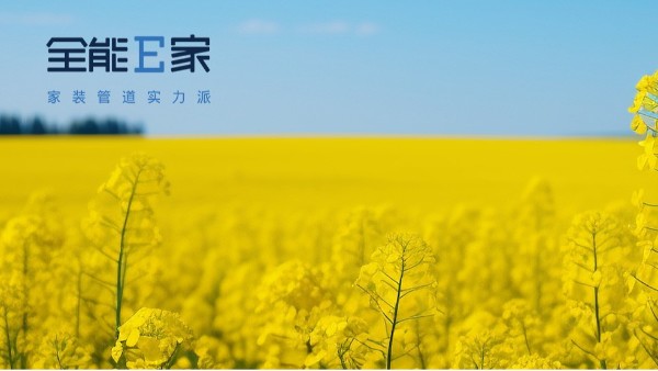 春分|天地平分春色，奔赴一场温柔的苏醒